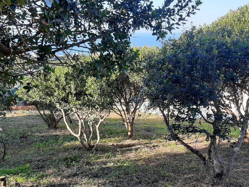 0 Bedroom Property for Sale in Tergniet Western Cape